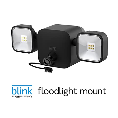 The All New Blink Outdoor HD Wireless Home Security Camera With Built-in Ultra Bright Smart Floodlight - 1 camera kit