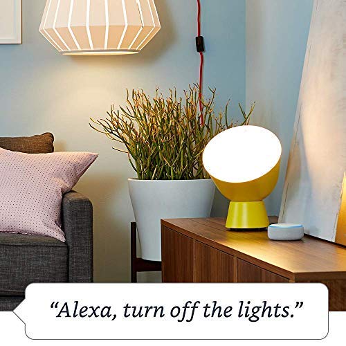 Alexa Enabled Smart Plug, Works with Alexa – A Certified for Humans Device