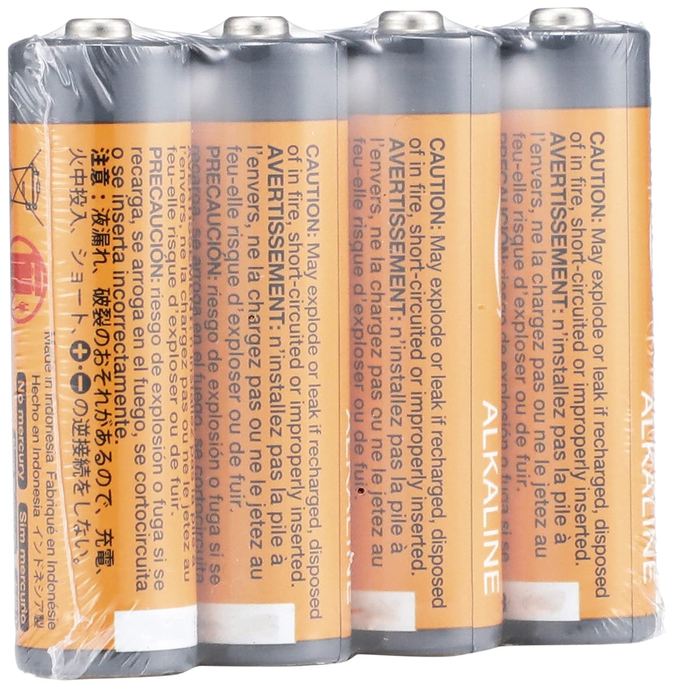 Amazon Basics Alkaline Battery Combo Pack | AA 48-Pack, C Cell 12-Pack (May Ship Separately)